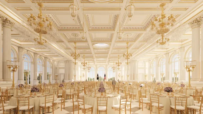 A Ballroom, a Bread Theory & a Monkey Mafia