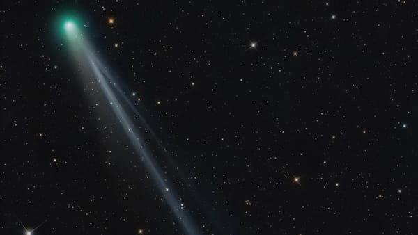 SCOOP: What Do Comets & Cats Have In Common?